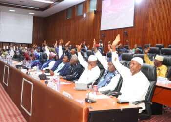 Ratification de deux importantes conventions par les conseillers nationaux du CNT 