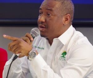 L’UFDG frappe fort : Cellou Baldé et Maladho Diallo limogés après une rencontre secrète avec Mamadi Doumbouya