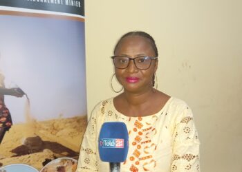 Gestion environnementale : Une nouvelle ONG s&rsquo;active sur le terrain minier