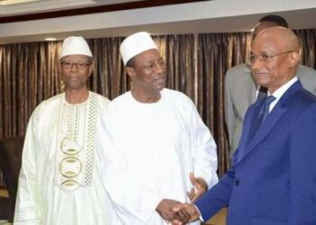 Guinée : Plusieurs partis politiques sont suspendus