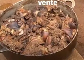 Conakry – Yembéya : une vendeuse surprise en flagrant délit de vente de la viande de chien préparée en bouillon
