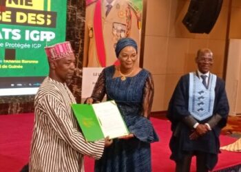 Guinée : l’Ananas de Friguiagbé et le Leppi officiellement reconnus par l’OAPI – Un tournant stratégique pour l’économie locale