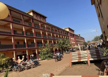 Grève illimitée dans l&rsquo;enseignement supérieur : appel lancé par le SNAESURS à l&rsquo;encontre des étudiants 