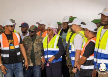 industrie-pme / Relance industrielle : vers la transformation de la pomme de terre en frites surgelées 