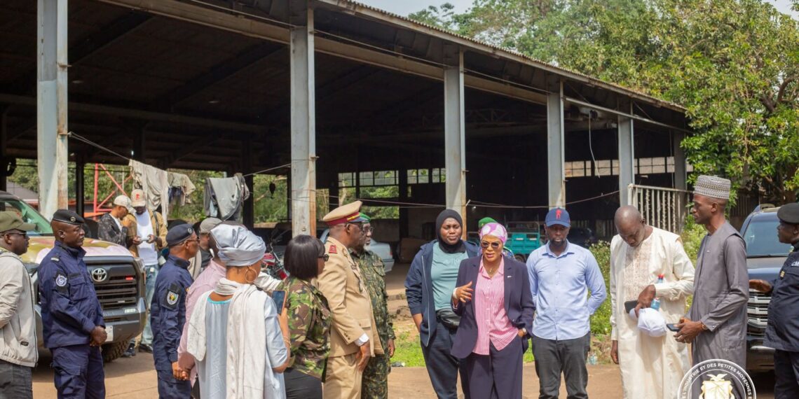 Industrie-pme/Relance industrielle :valorisation du site de l&rsquo;ancienne usoa de Mamou 