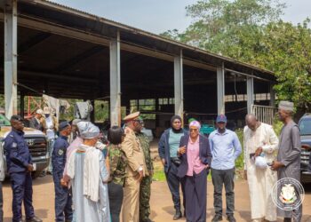 Industrie-pme/Relance industrielle :valorisation du site de l&rsquo;ancienne usoa de Mamou 