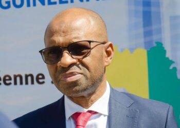 Double scrutin du 31 mai : le FRONDEG d’Abdoulaye Yero Baldé se retire du processus électoral (communiqué)