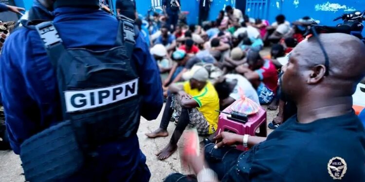 Opération « Ouragan » à Matam : 35 interpellations, une pépinière de chanvre démantelée et des découvertes troublantes