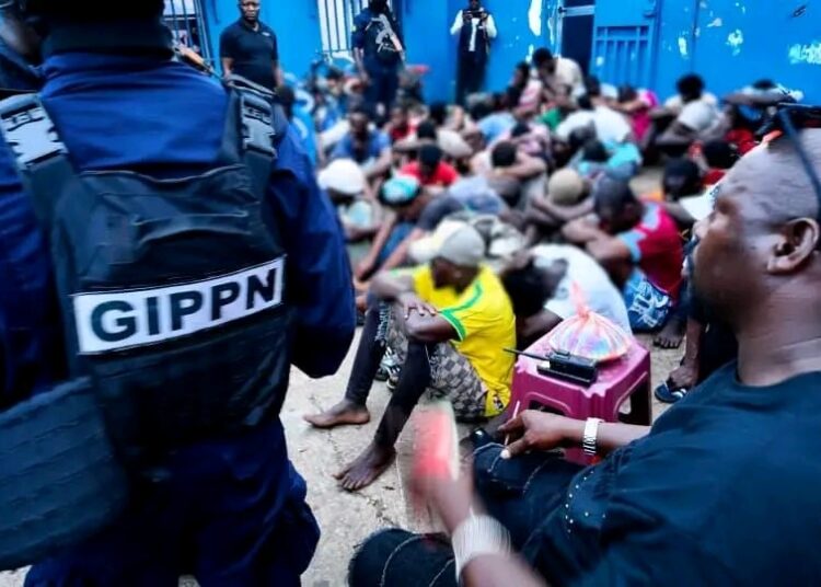 Opération « Ouragan » à Matam : 35 interpellations, une pépinière de chanvre démantelée et des découvertes troublantes