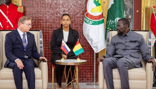 Coopération : la Guinée accueille plusieurs nouveaux ambassadeurs