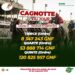 Cagnotte du jour: une belle opportunité pour les parieurs