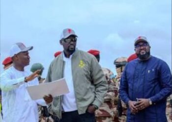 Nimba Company Corporation : Djiba Diakité prend les commandes du Conseil d’administration